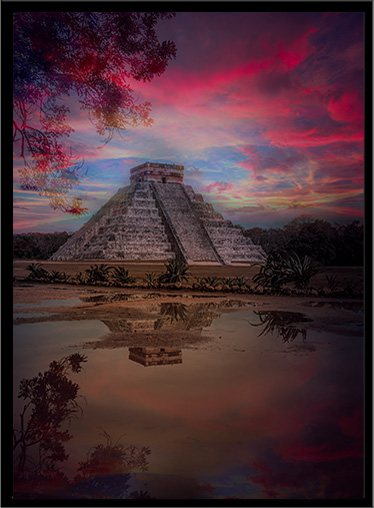 Maya Series Cover Image