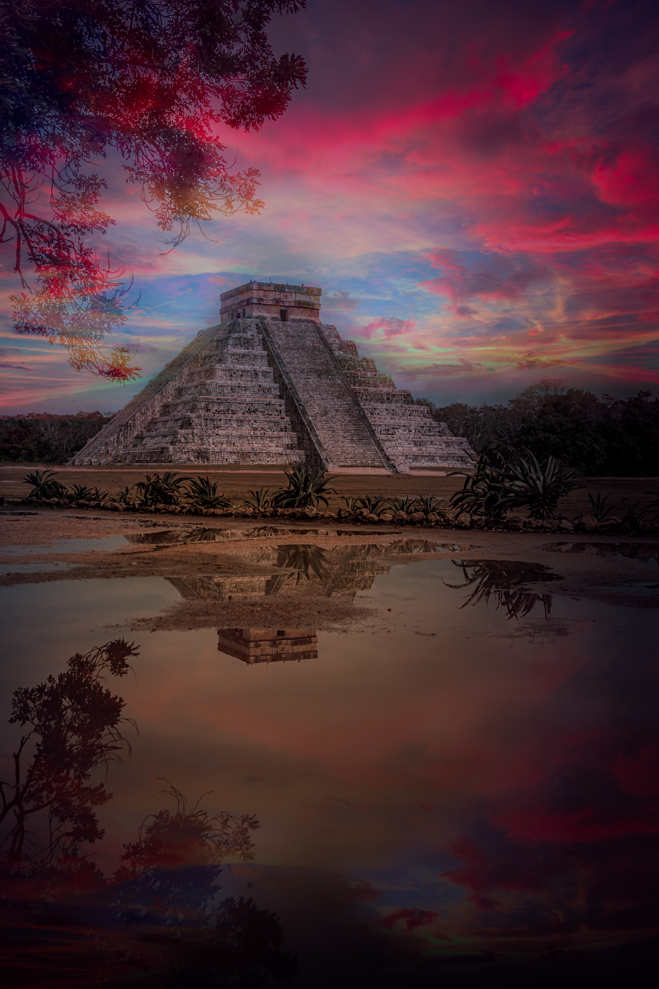 Maya Series Cover Image