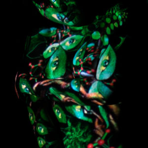BODY VIDEO MAPPING 80