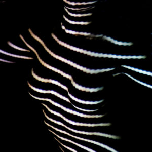 BODY VIDEO MAPPING 76