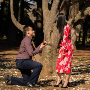 Engagement_023